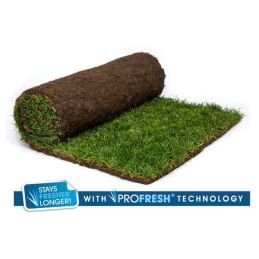 Rolawn Medallion® Turf