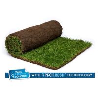 Turf, Topsoil & Lawn Care