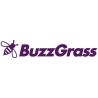 BuzzGrass