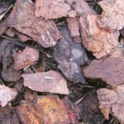 Ornamental Forest Bark