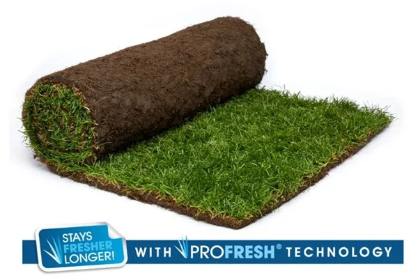 Rolawn Medallion® Turf