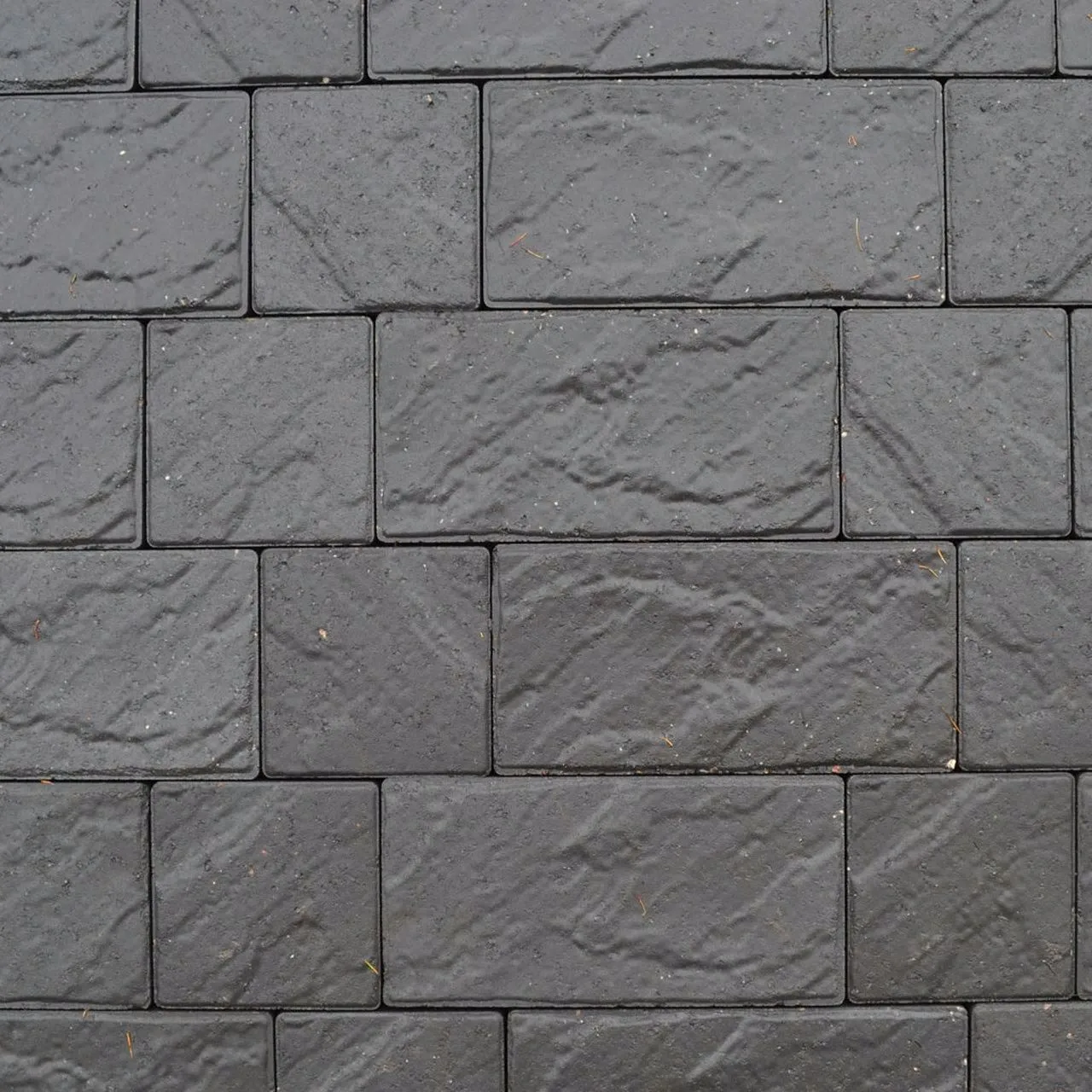 Lakeland Windermere Riven - Image 2